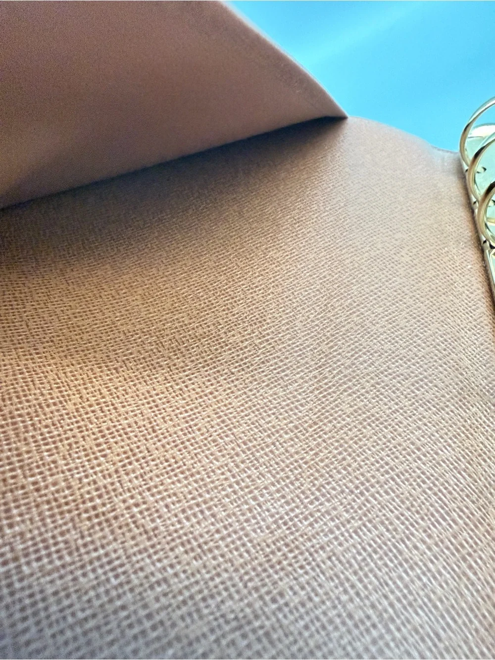 Louis Vuitton iconic louis